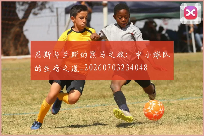 尼斯与兰斯的黑马之旅：中小球队的生存之道_20260703234048